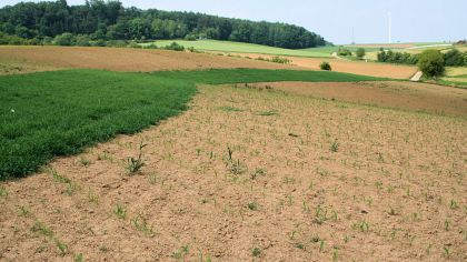 Erosionsschutz: produktionsintegrierte Kompensationsmaßnahmen (PIK) in der Landwirtschaft 2023