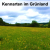 Bestimmungskatalog für die 42 hessischen Grünland-Kennarten (Ökoregel 5)