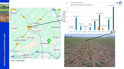 Ergebnisse Schneckenmonitoring