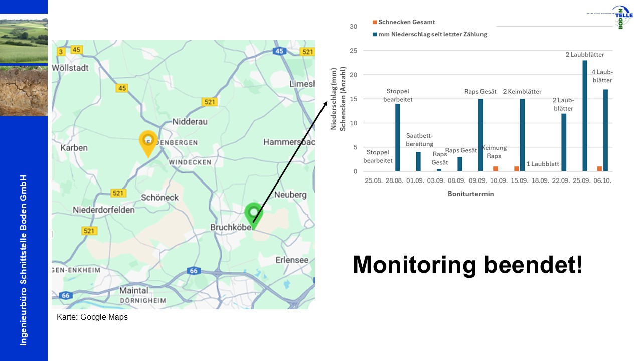 Anzahl der gefunden Schnecken (orangener Balken) und der gefallene Niederschlages seit dem letzten Boniturtermin (blauer Balken) in mm der Fläche in Oberissigheim. Über den Balken der Grafiken ist der Entwicklungszustand des Rapses zum jeweiligen Datum dargestellt. Image