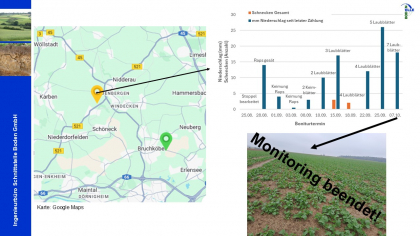 Ergebnisse Schneckenmonitoring unter Raps